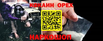 mdpv Гатчина