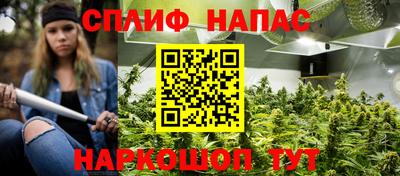 mdpv Гатчина