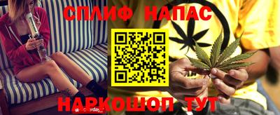 mdpv Гатчина