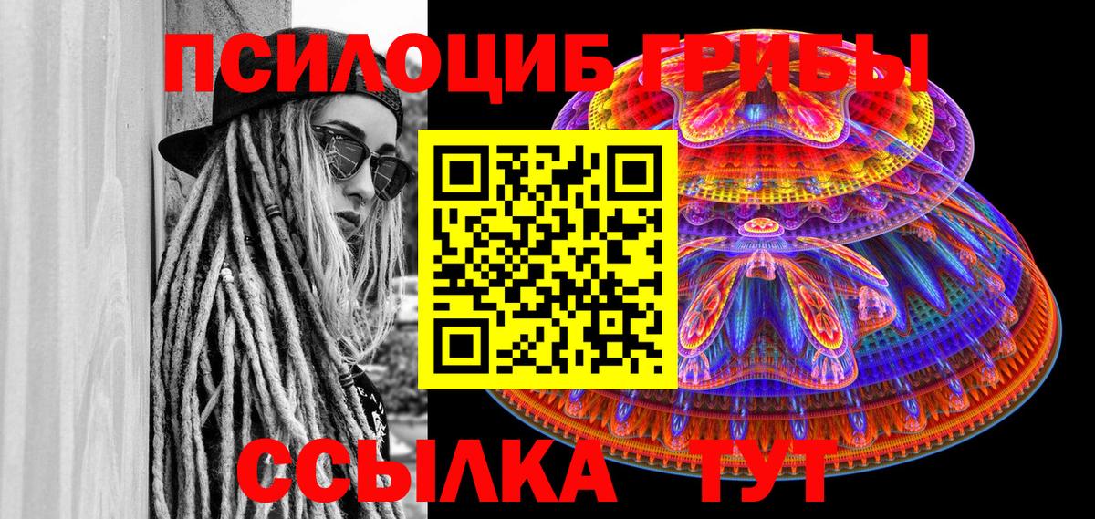 где можно купить наркотик  Псилоцибиновые грибы Magic Shrooms  Вход с VPN  Мурманск 