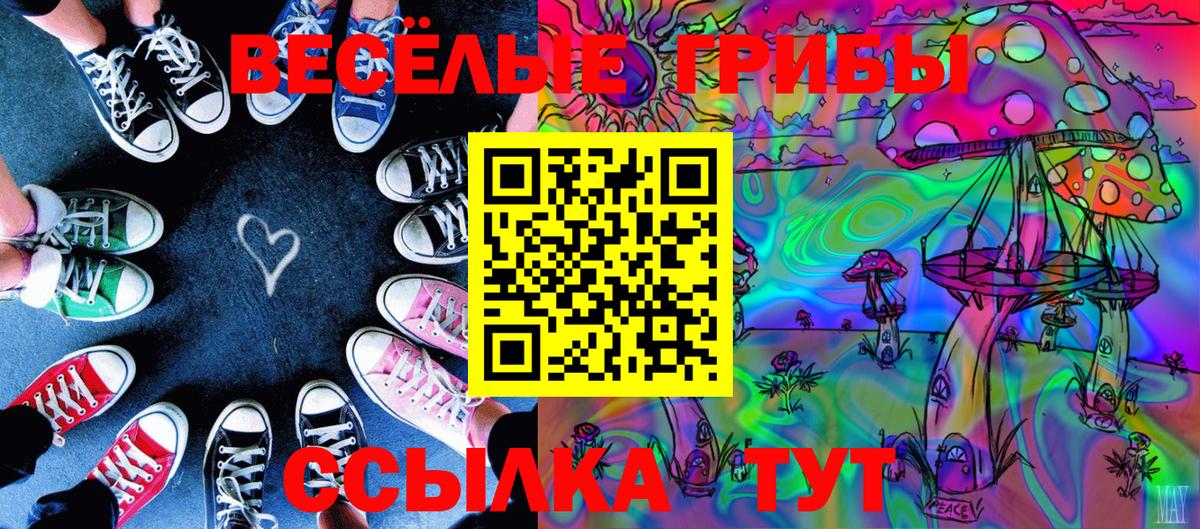 Псилоцибиновые грибы GOLDEN TEACHER Мурманск