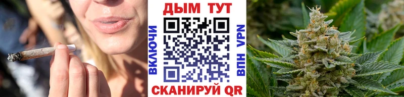 Марихуана сатива  Мурманск 